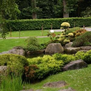 Ogród Kioto 12
