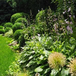 Zielony ogród Podolany 5